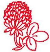 Red Clover Award Logo